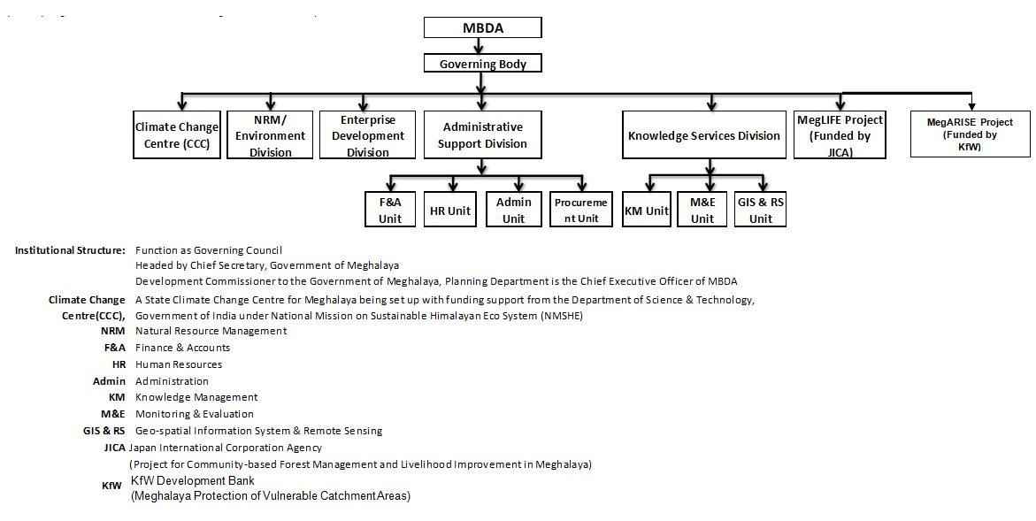 Organization Chart